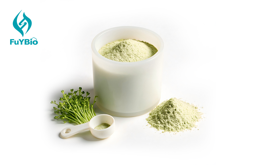 Broccoli Sprout Powder Extract